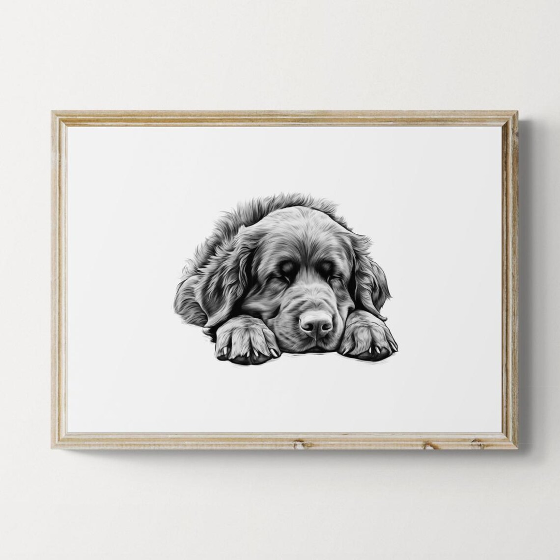 Newfoundland Puppy Sleeping Vintage Pencil Sketch Dog Breed Wall Art