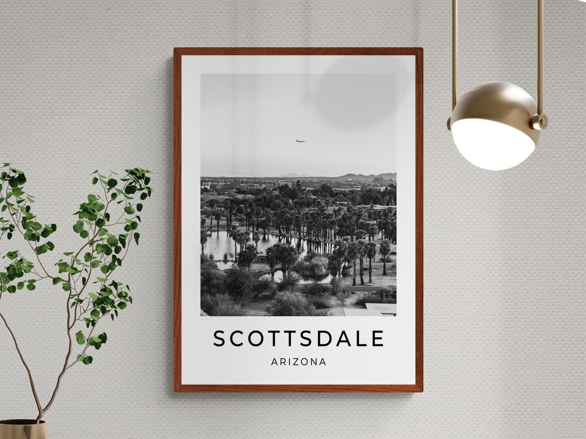 Scottsdale Arizona Desert Lake Palm Trees Black And White Poster - Image 3