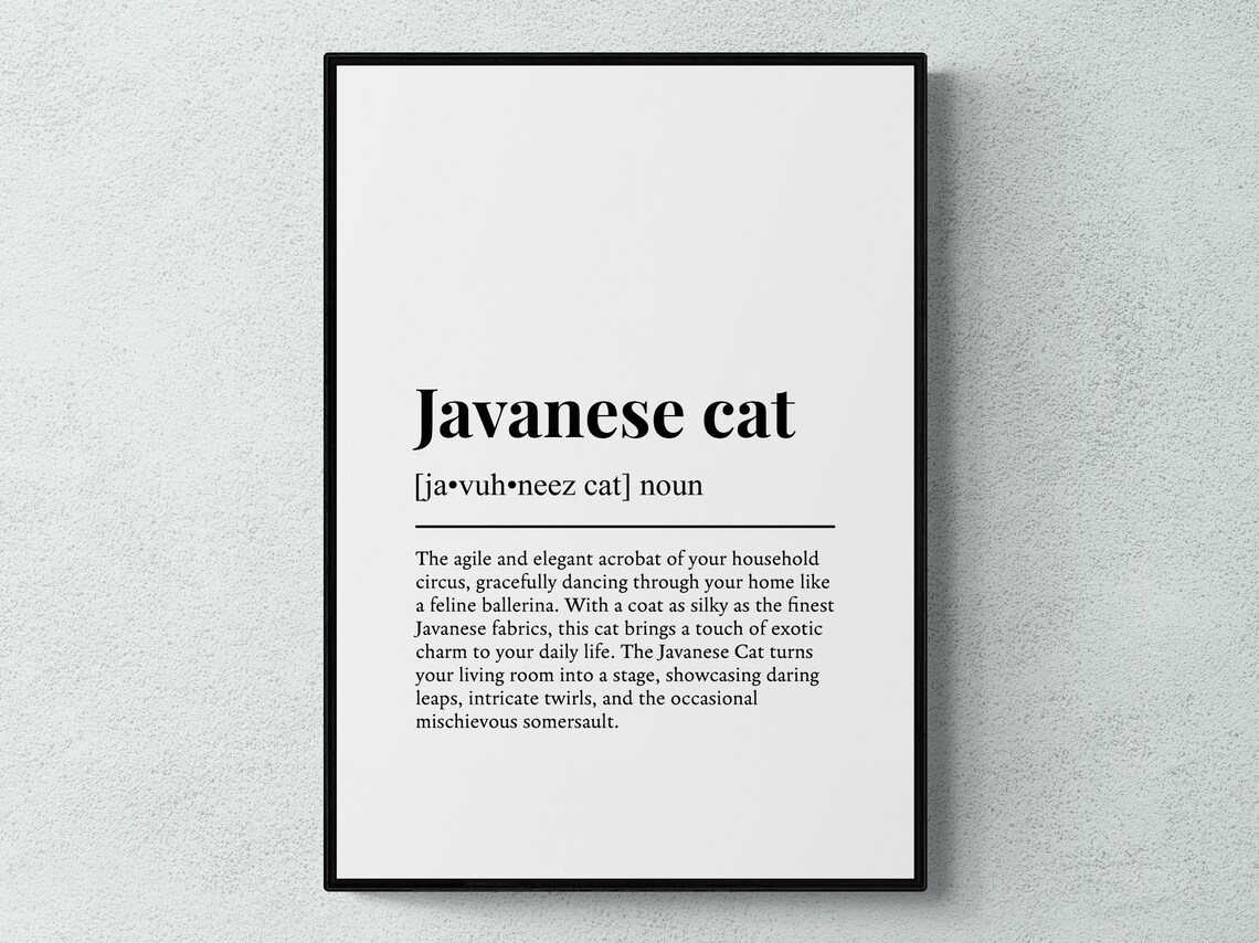 Javanese Cat Funny Definition Dictionary Style Minimalist Wall Art Poster