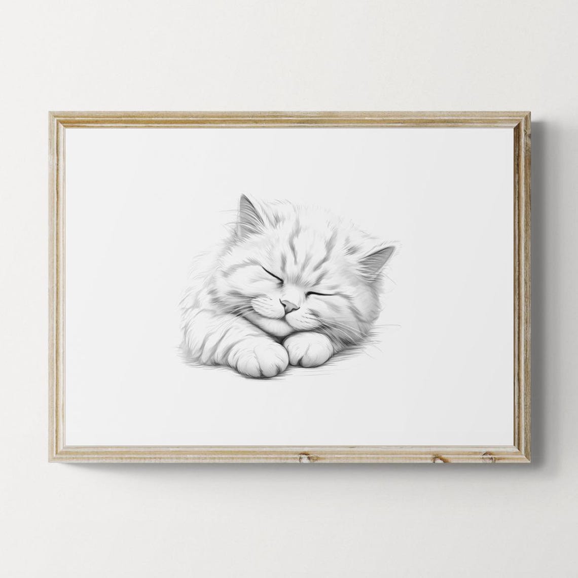 Sleeping Scottish Fold Kitten Sketch Black White Fluffy Cat Print