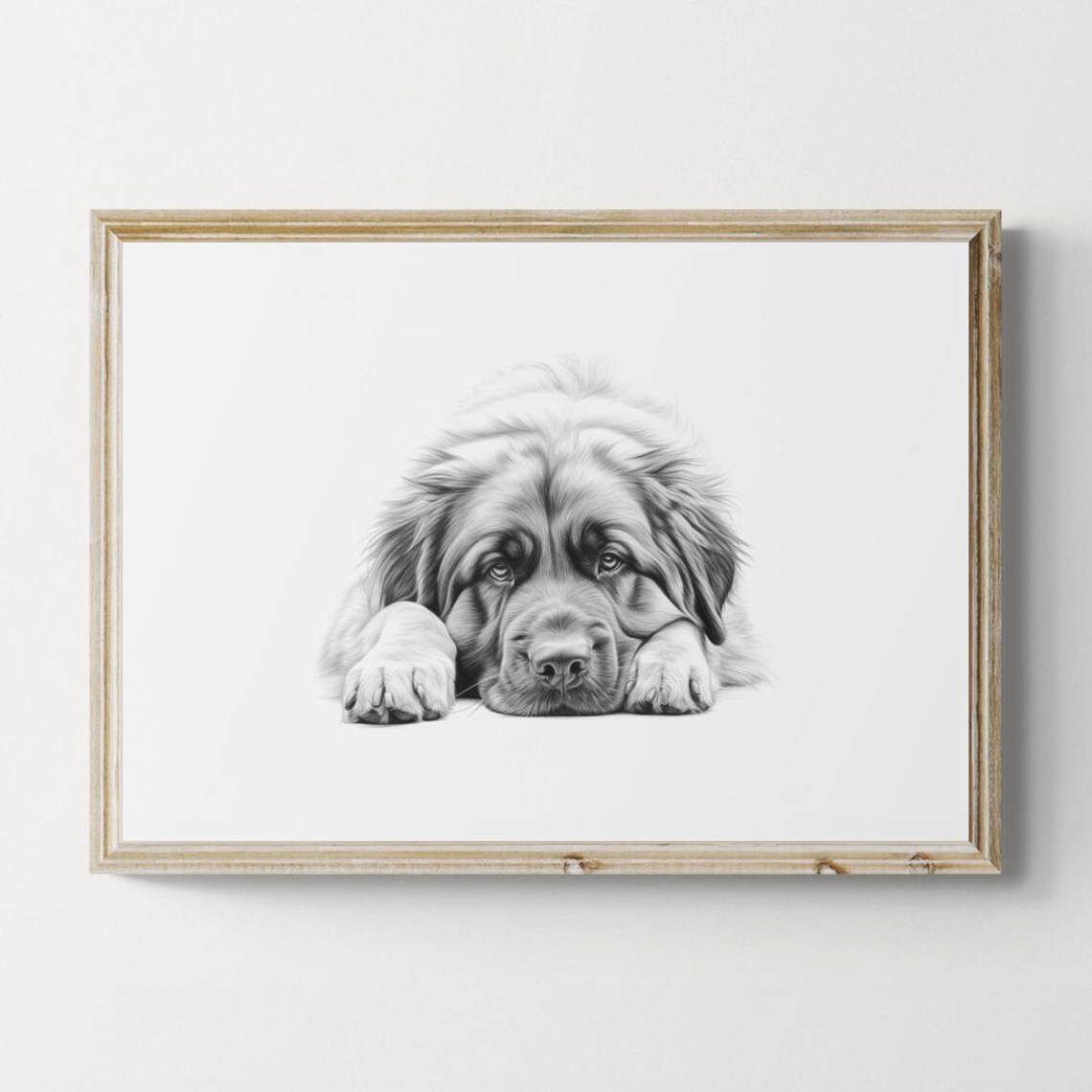 Leonberger Puppy Giant Fluffy Lion Look Pencil Sketch Portrait Print