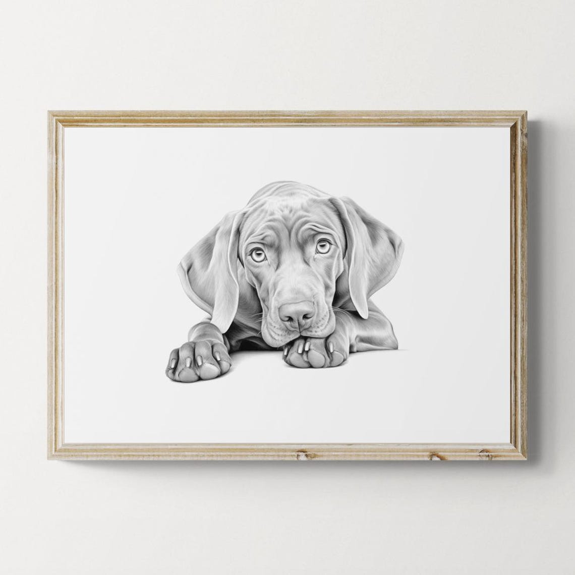 Weimaraner Puppy Silver Gray Hunter Pencil Sketch Portrait Print