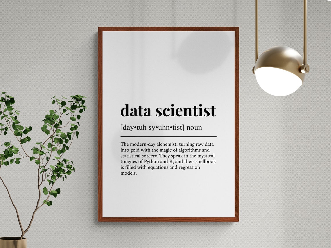 Data Scientist Funny Dictionary Definition Typography Gift Wall Art - Image 3
