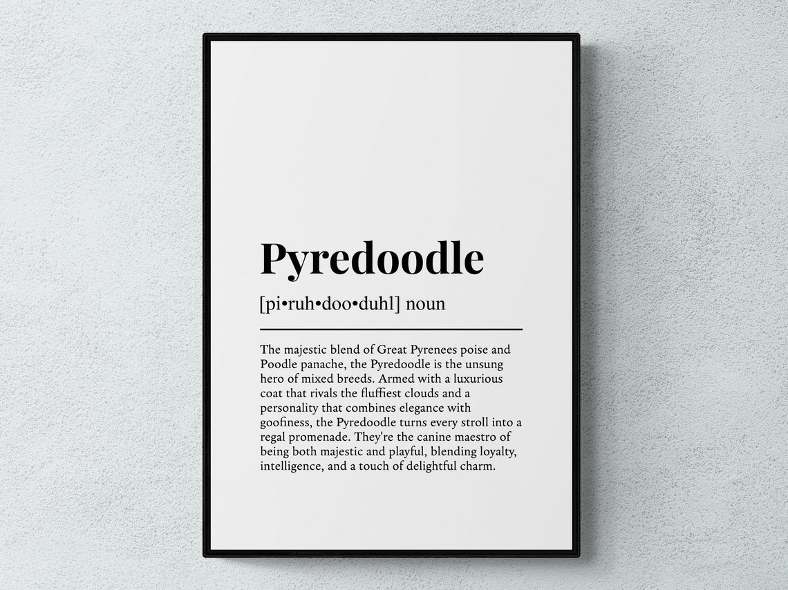 Pyredoodle Funny Dictionary Definition Minimalist Typography Poster