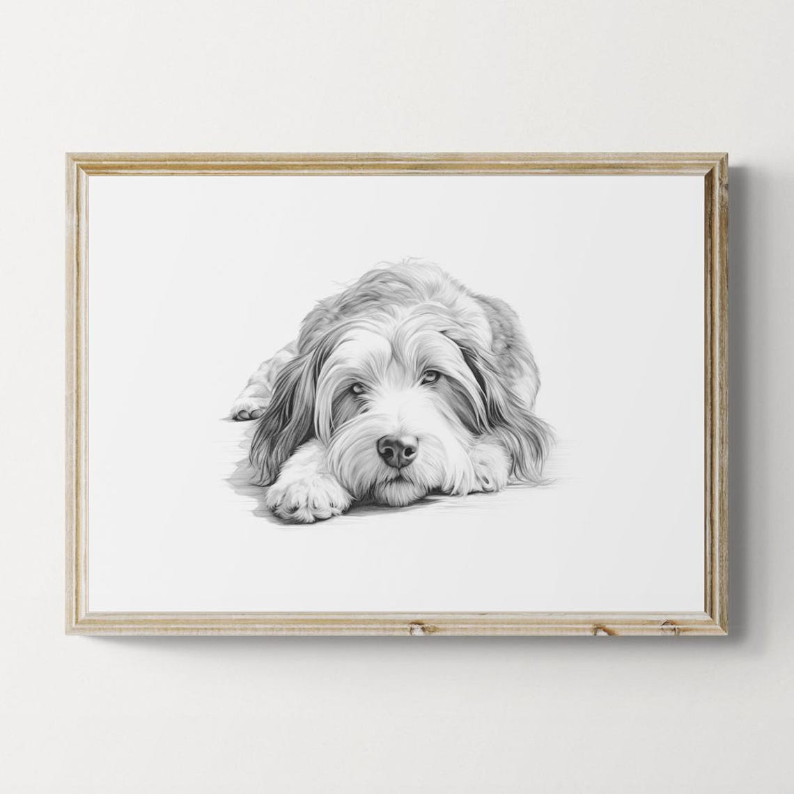 Bearded Collie Flowing Coat Sketch Lying Down Vintage Dog Poster
