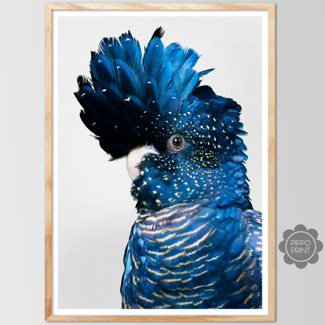 Black Cockatoo Art Print, Australian Bird Poster