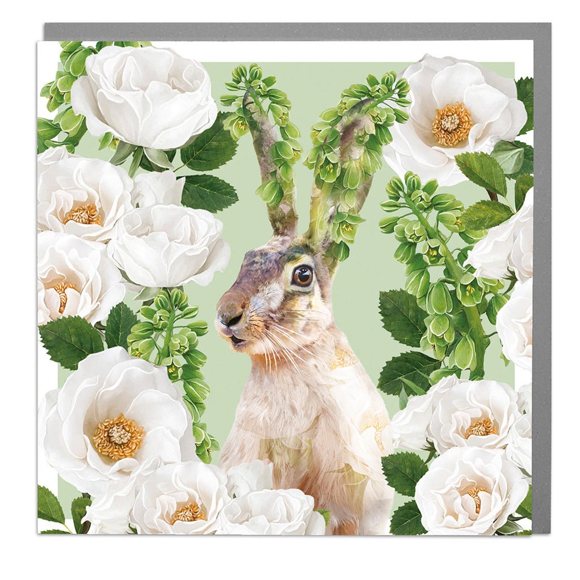 Hare With White Garden Roses, Art Print