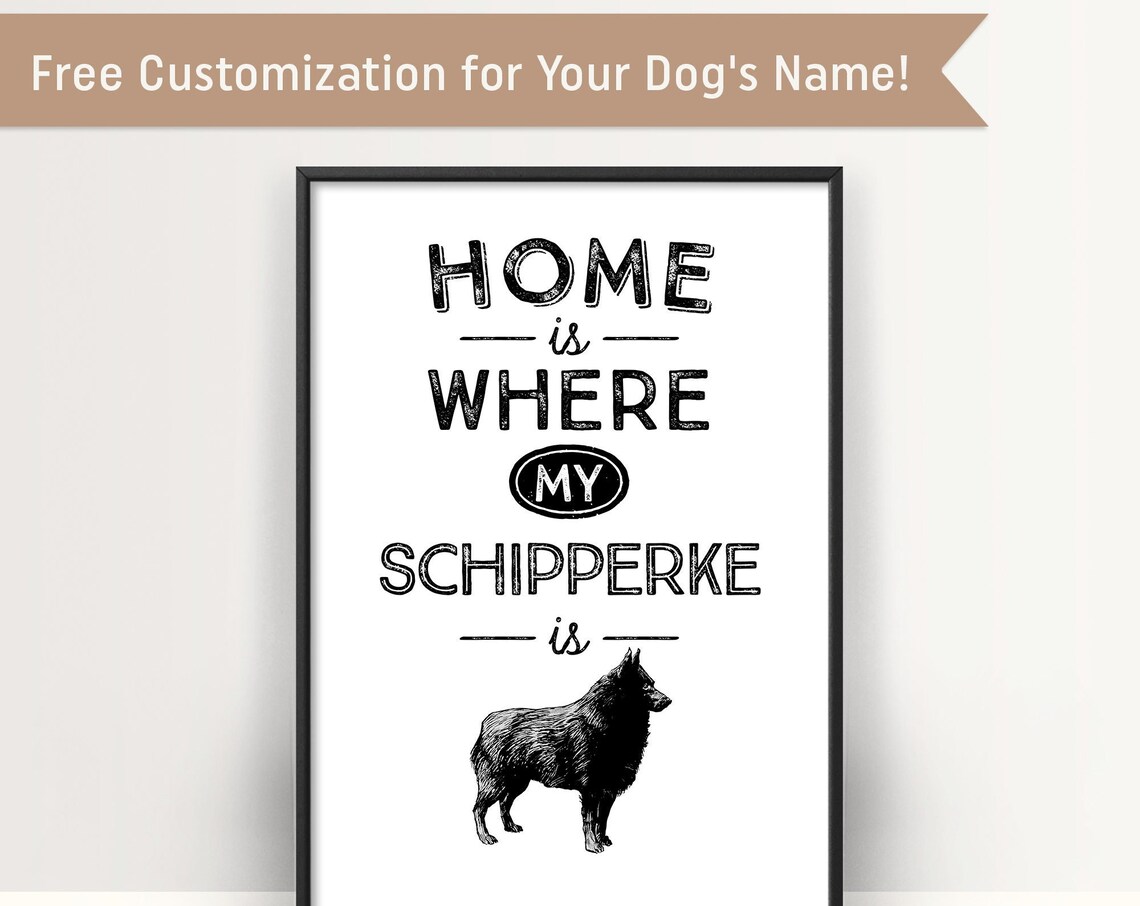 Schipperke Dog Quote Home Is Where My Schipperke Is Art Poster