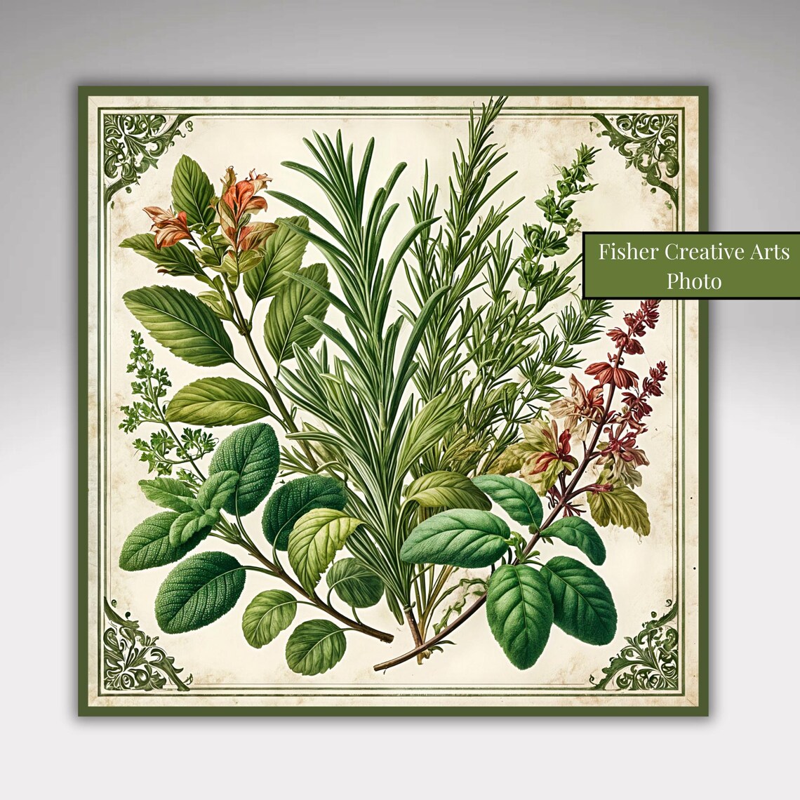 Antique Botanical Herbs, Vintage Kitchen Art Print