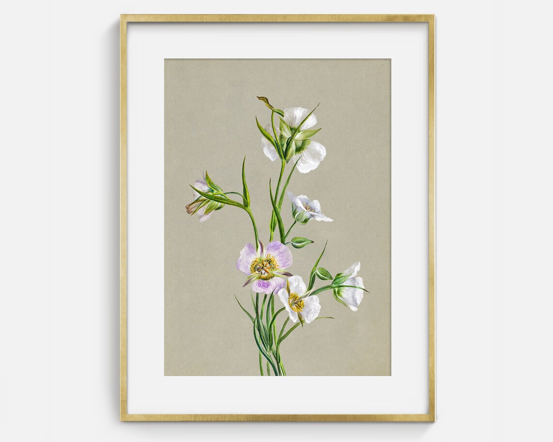 Vintage Botanical Wildflower Painting White Lavender Flower Art Print - Image 2