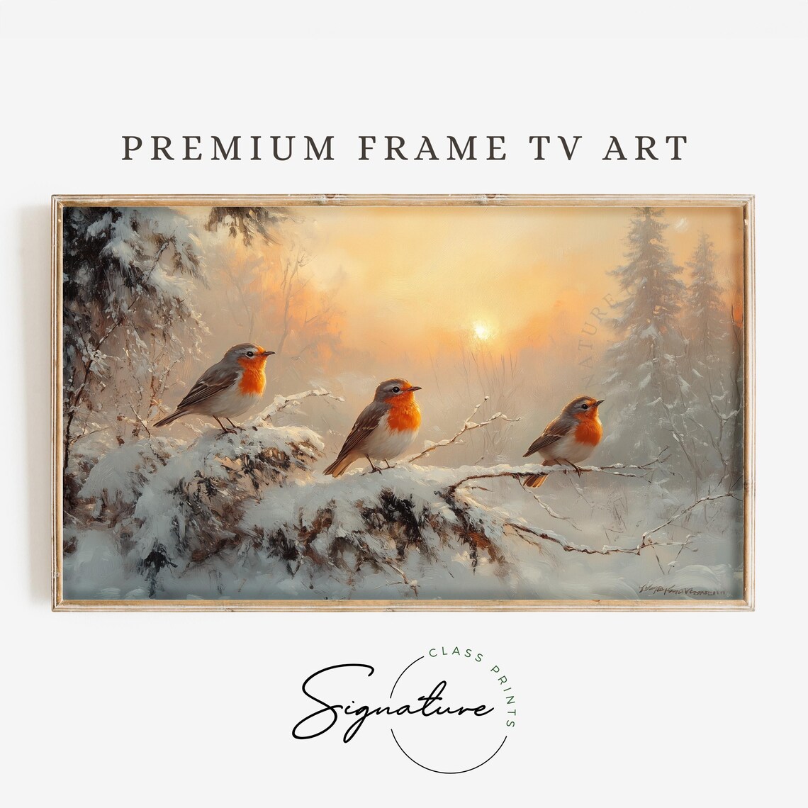 Three European Robins on Snowy Branch Warm Winter Sunset Poster