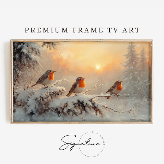 Three European Robins on Snowy Branch Warm Winter Sunset Poster