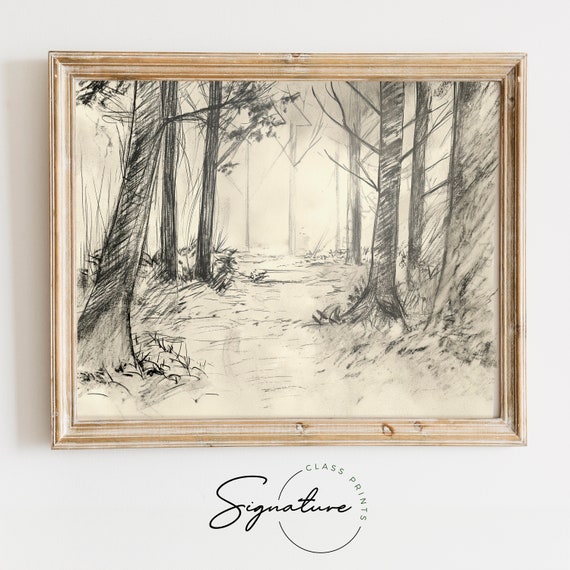 Secluded Forest Clearing Sketch Tranquil Woodland Art Forest Path Drawing Nature Inspired Decor Wilderness Wall Art 909