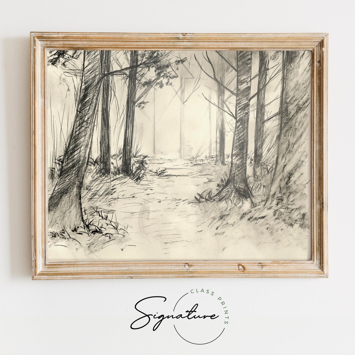 Secluded Forest Clearing Charcoal Woodland Path Sketch Poster