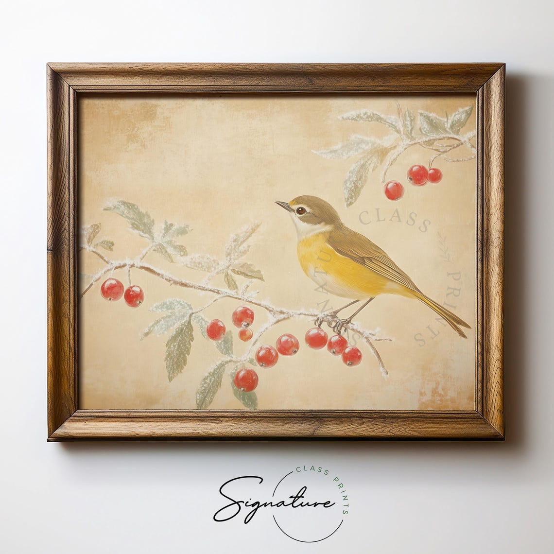 Yellow Breasted Chat Beside Frosted Red Berries Rustic Poster - Image 5