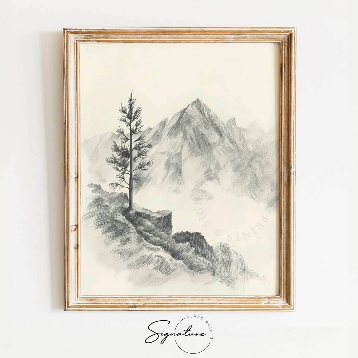 Lone Pine Tree On Rocky Mountain Vista Monochrome Pencil Poster