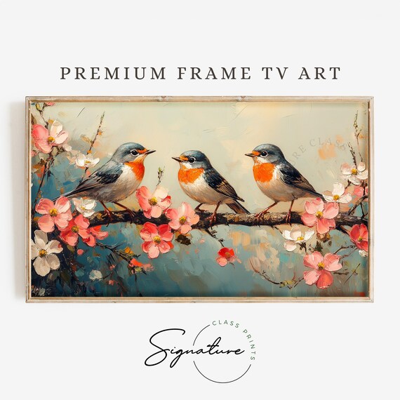 Three Robins On Cherry Blossom Branch Spring Songbird Poster