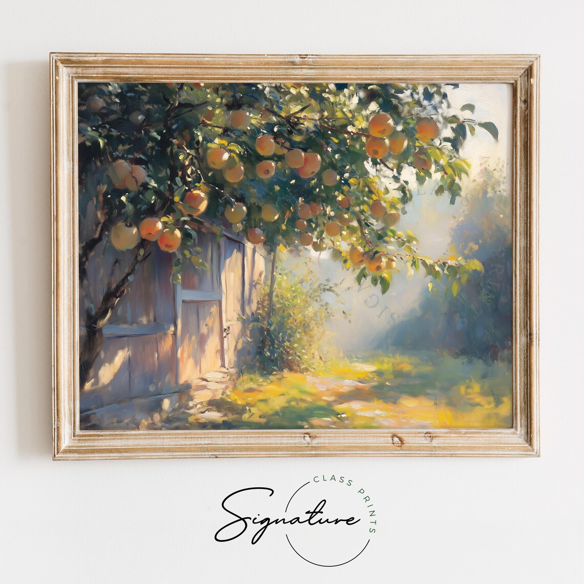 Sun Ripened Fruit Hanging Above a Rustic Barn Door on a Crisp Morning Poster