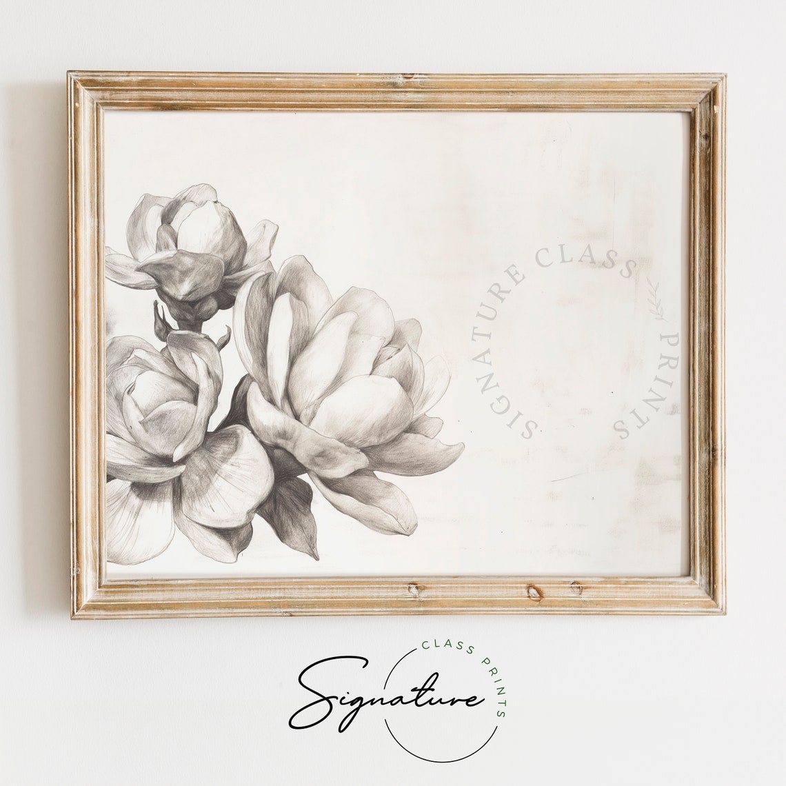 Gardenia Bloom Grayscale Botanical Pencil Sketch Line Art Poster
