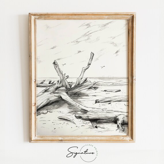 Driftwood On Windswept Beach Seabirds Monochrome Sketch Poster