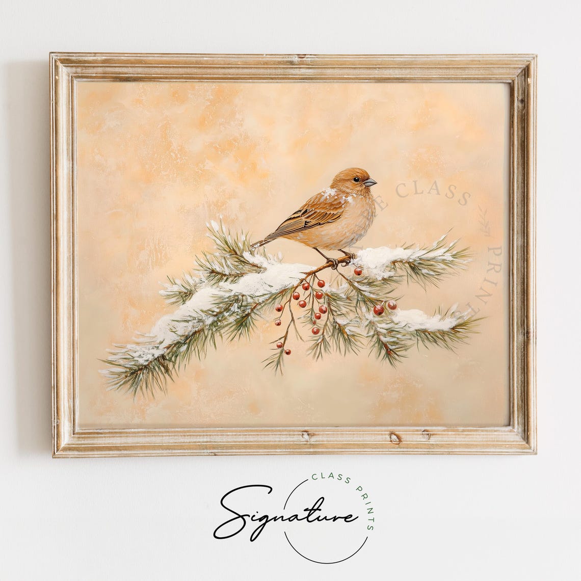 Linnet Songbird On Snow Dusted Pine With Red Berries Winter Print