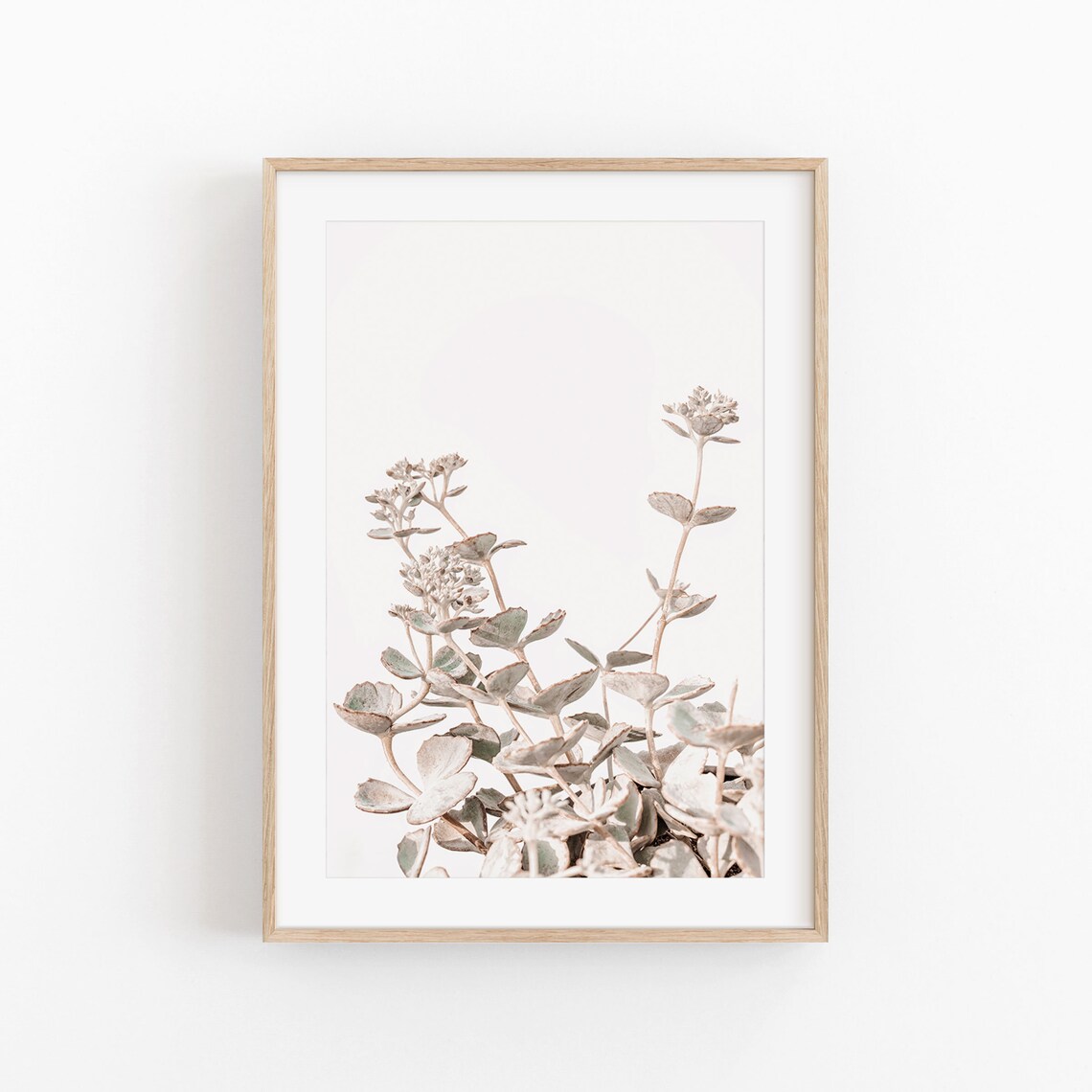 Botanical Herbs Art Print, Kitchen Floral Decor