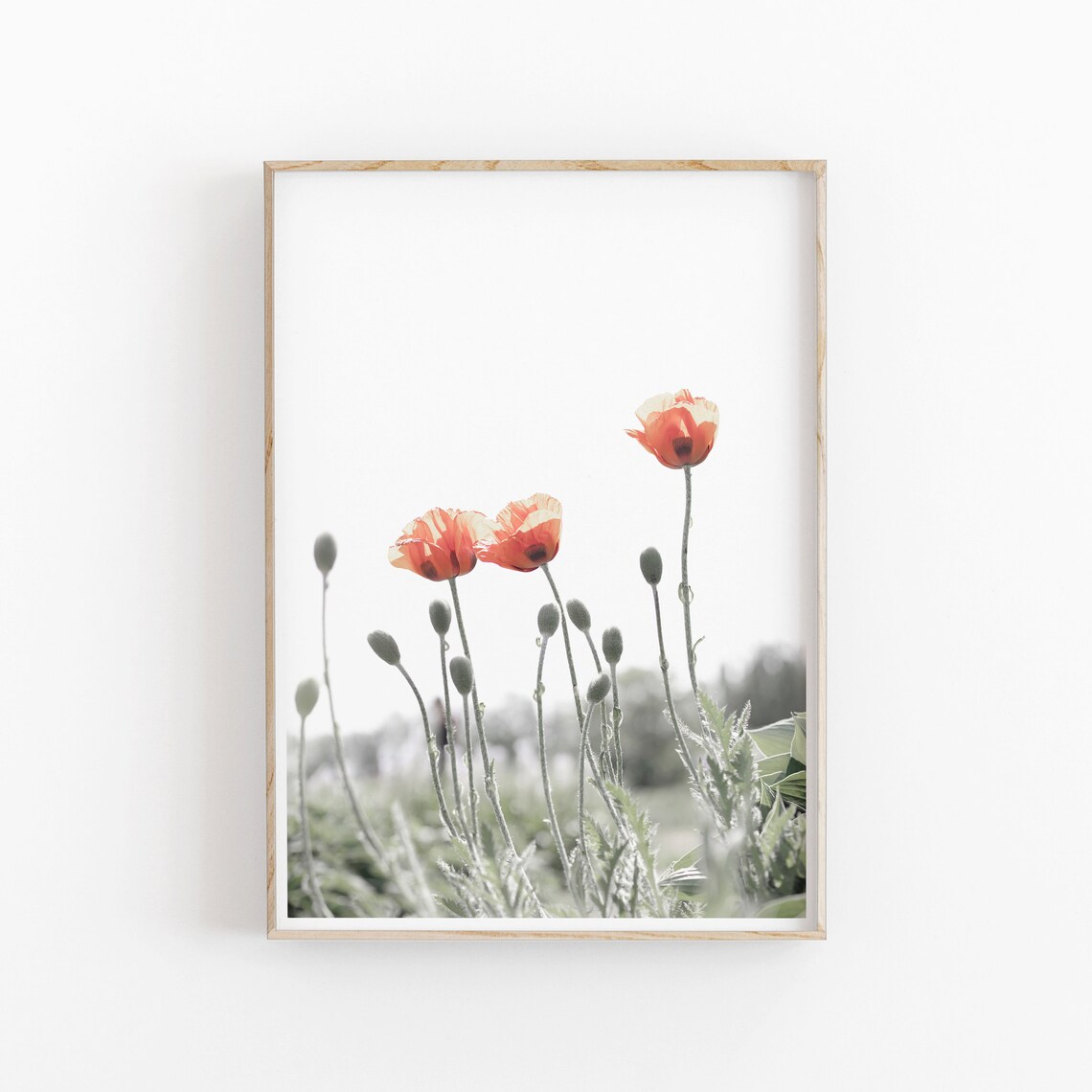 Poppy Flowers, Modern Minimalist Art Print - Image 2