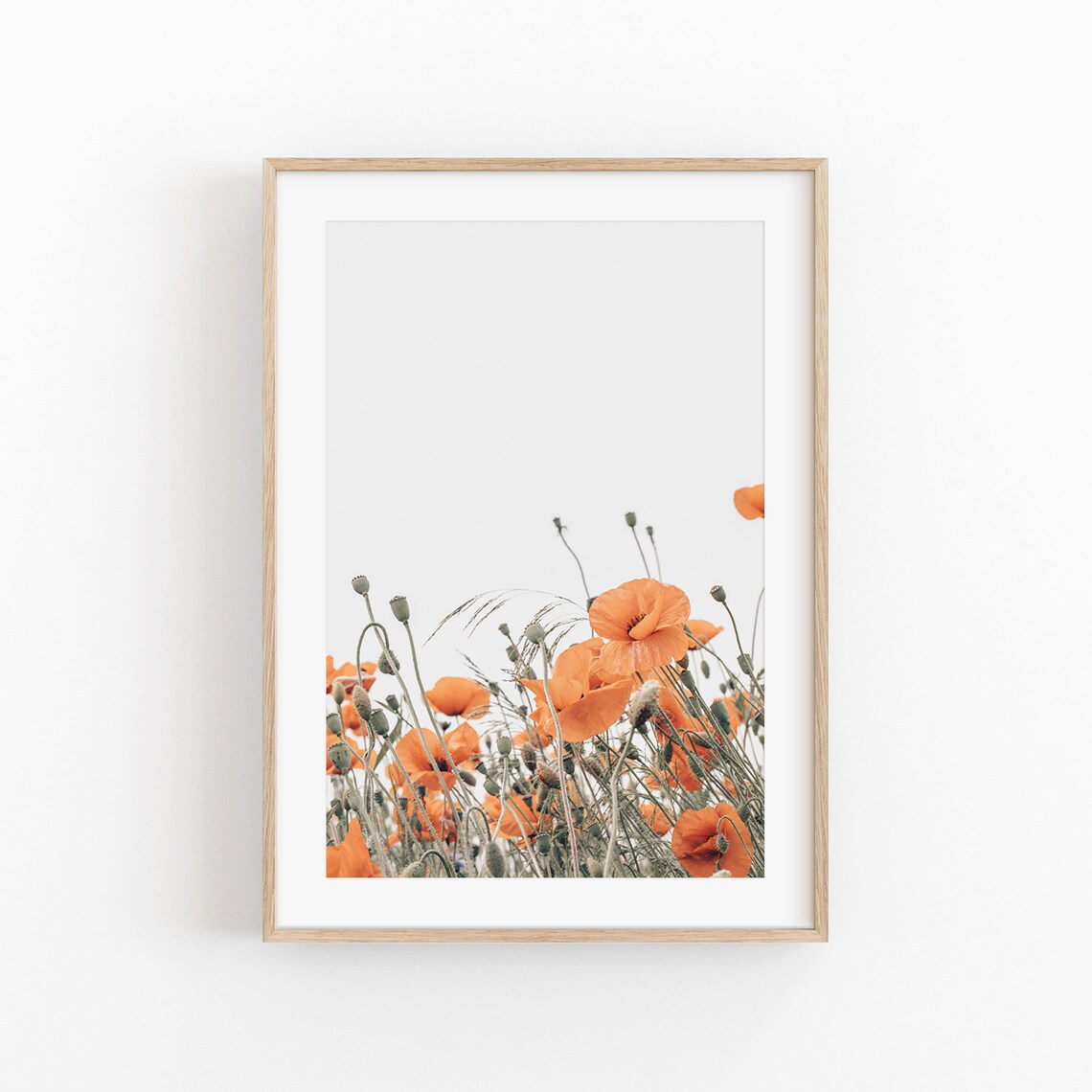 Poppy Print, Modern Minimalist Poster Art