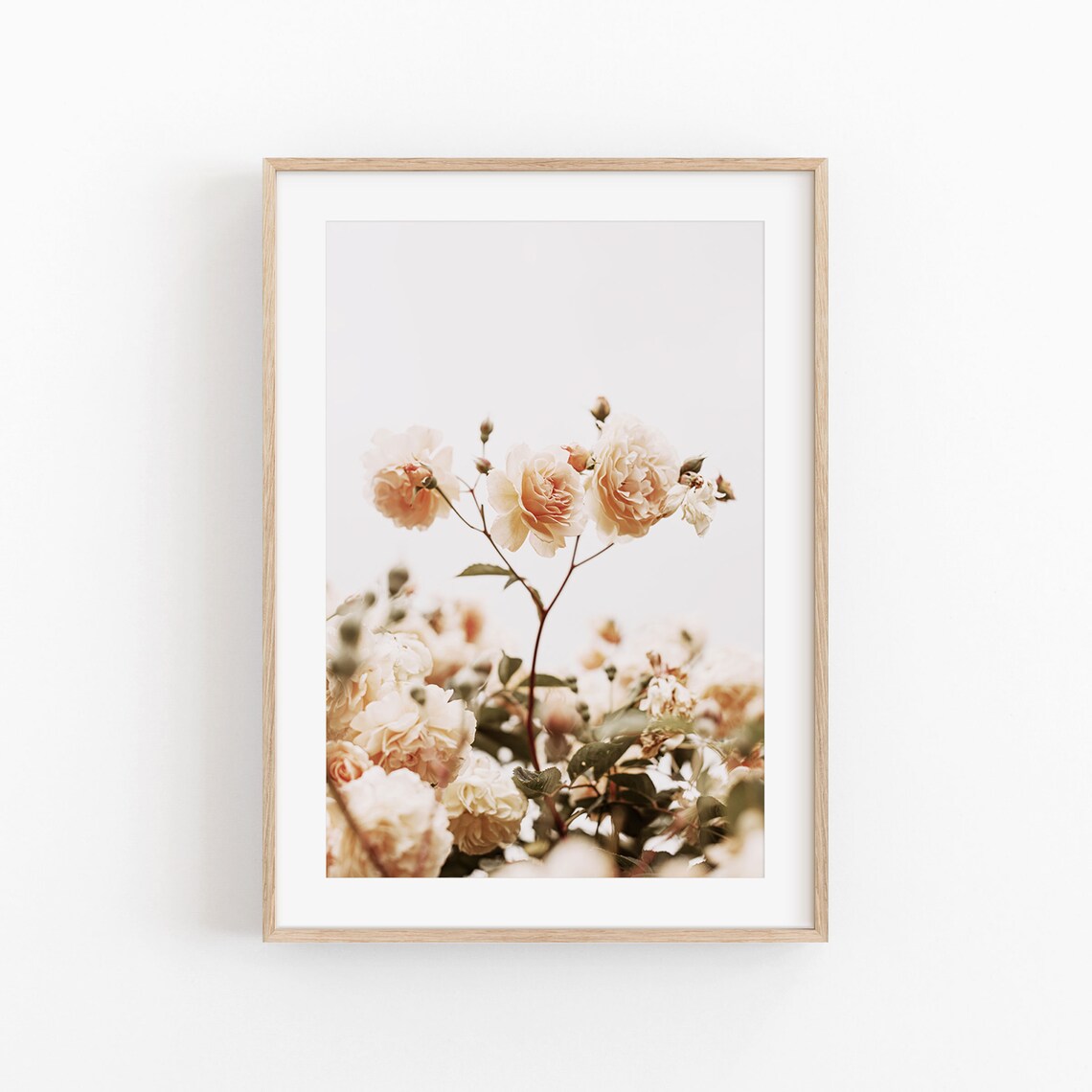 Roses Floral Art Print, Desert Flowers Decor - Image 3