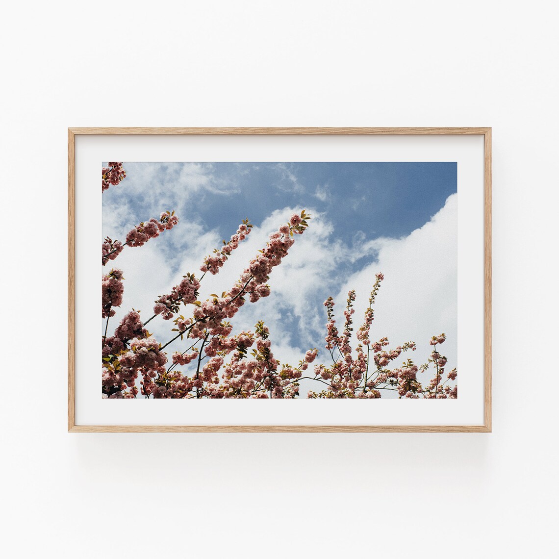 Nature Flowers Botanical Art Print, Minimalist Floral