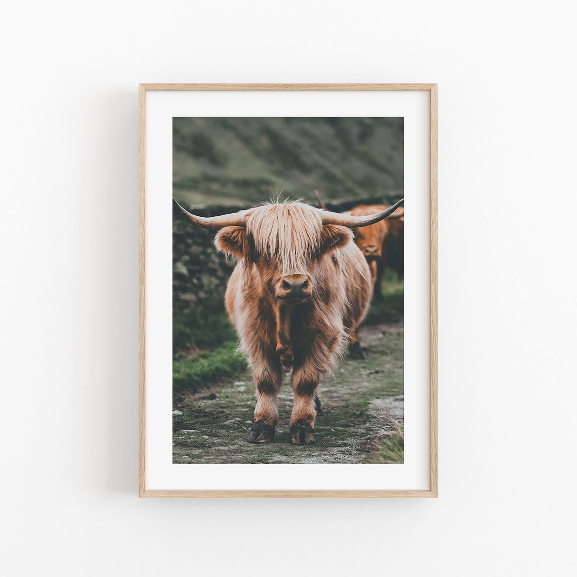Highland Cow Art Print, Modern Minimalist Poster