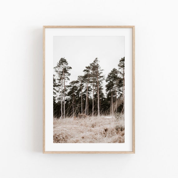 Forest Nature Print, Minimalist Landscape Art Print