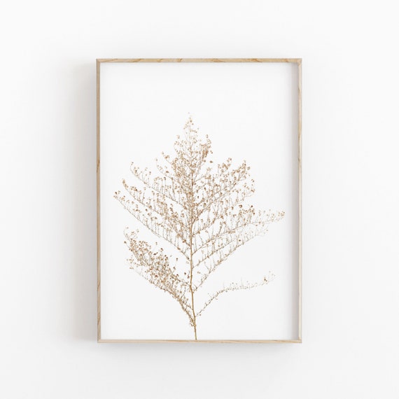 Botanical Herbs Beige Gallery Wall Art Print