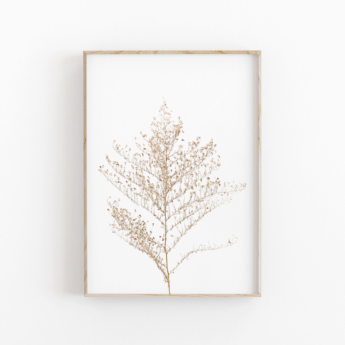 Botanical Herbs Beige Gallery Wall Art Print