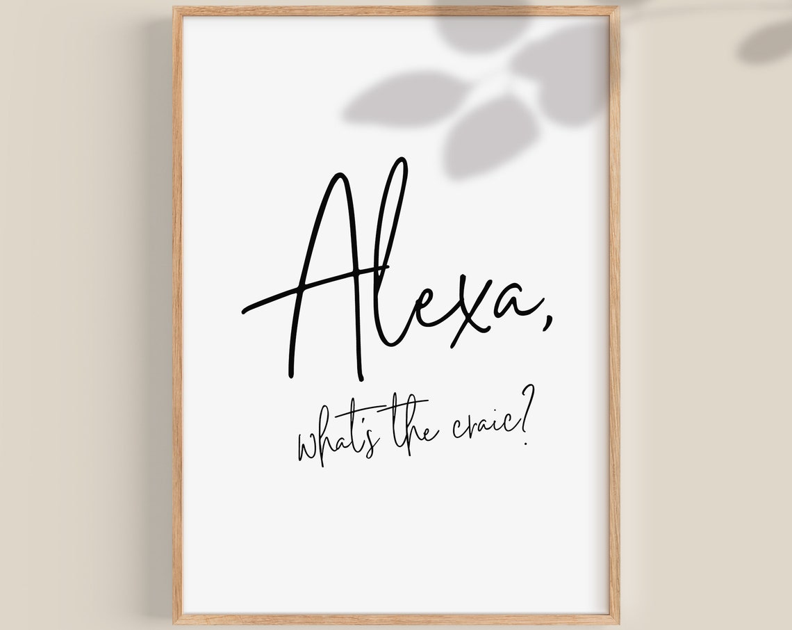 Alexa What's The Craic Funny Irish Slang Quote Script Poster