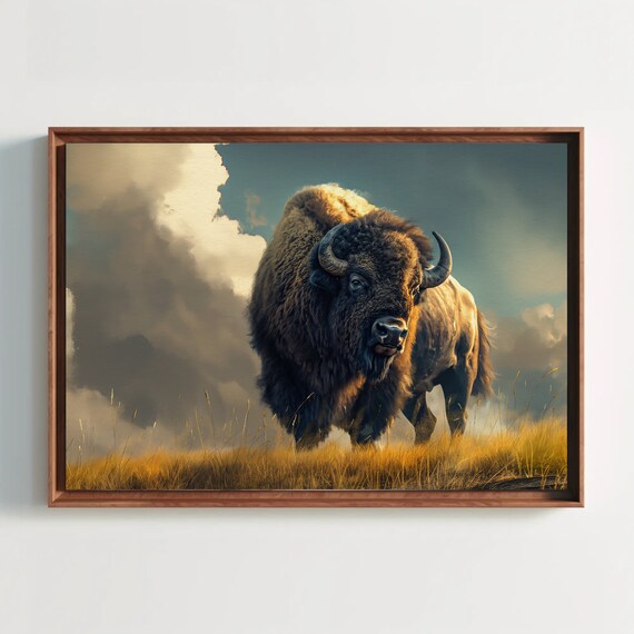 American Bison On Golden Prairie Under Stormy Sky Wildlife Poster