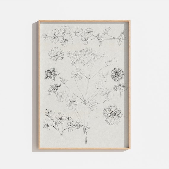 Vintage Botanical Flower Sketch Art Print