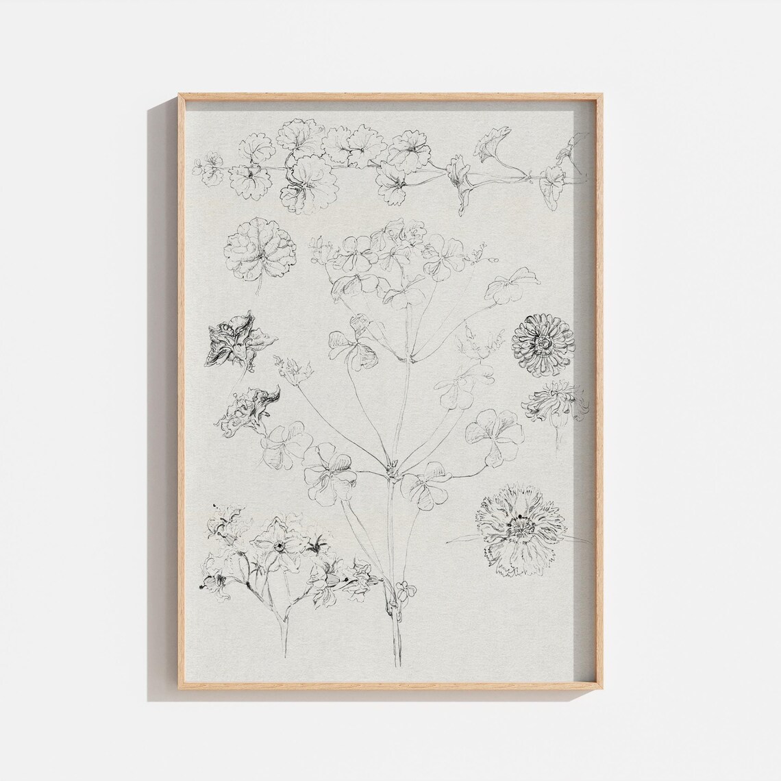 Vintage Botanical Flower Sketch Art Print