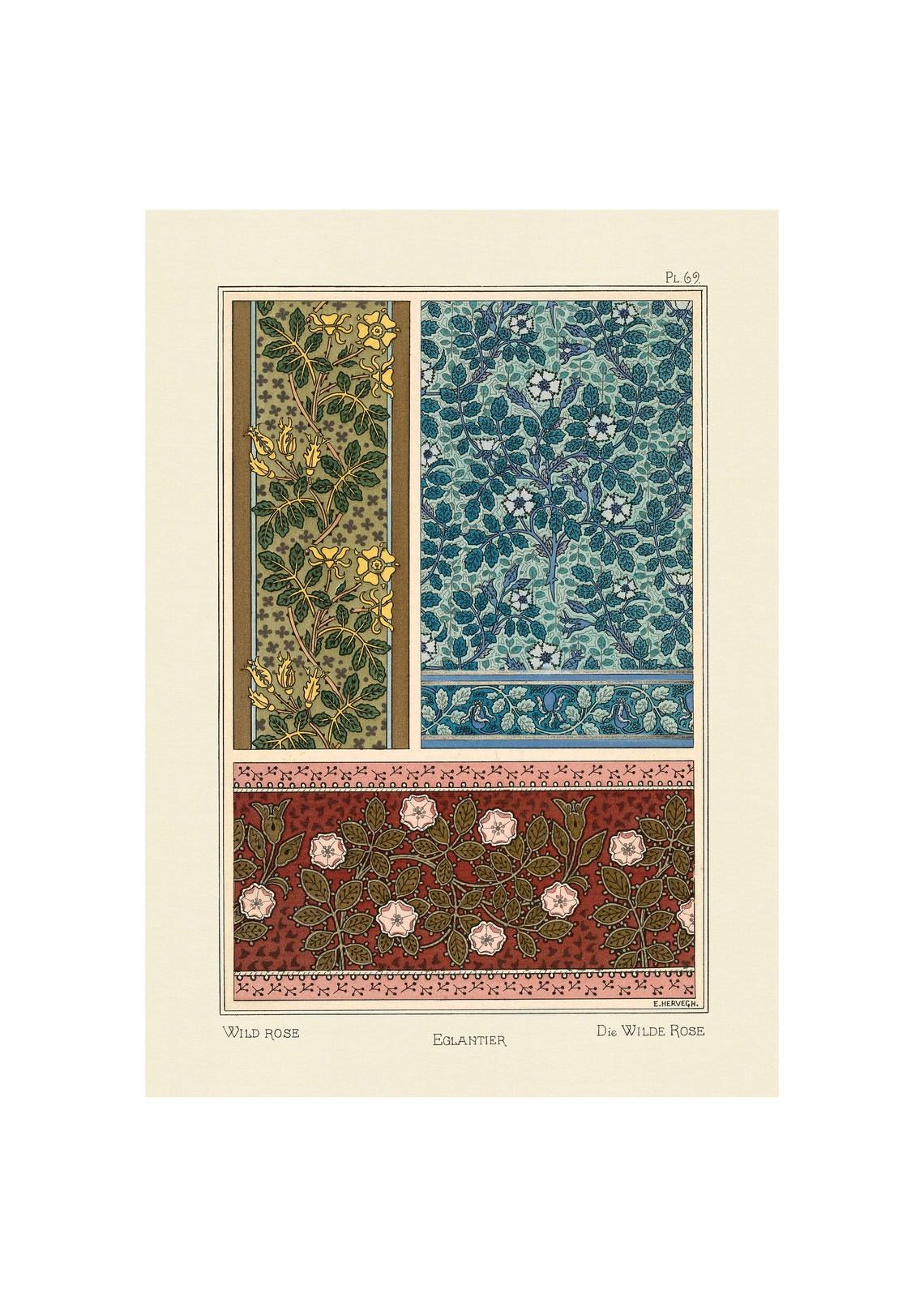 1896 Art Nouveau Wild Rose Floral Pattern Ornament Plate Poster