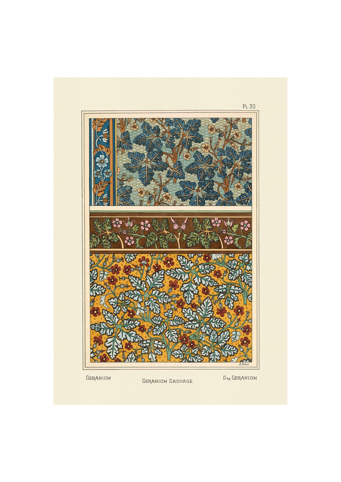 Plants and Their Application to Ornament: Geranium, 1896