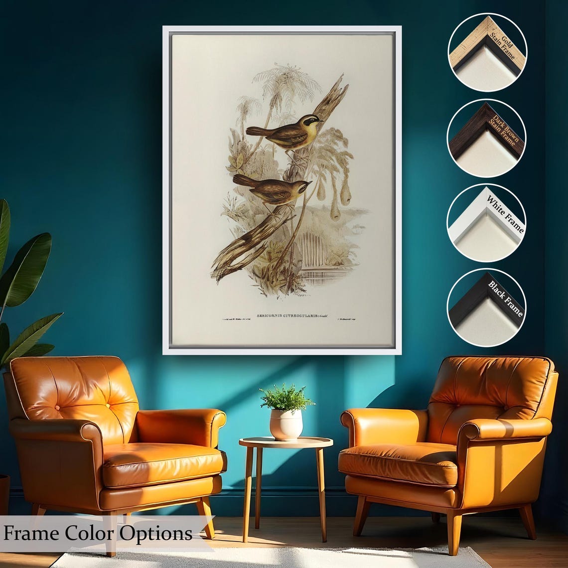 Vintage Songbird Ornithology Illustration Classic Bird Study Art Print - Image 2