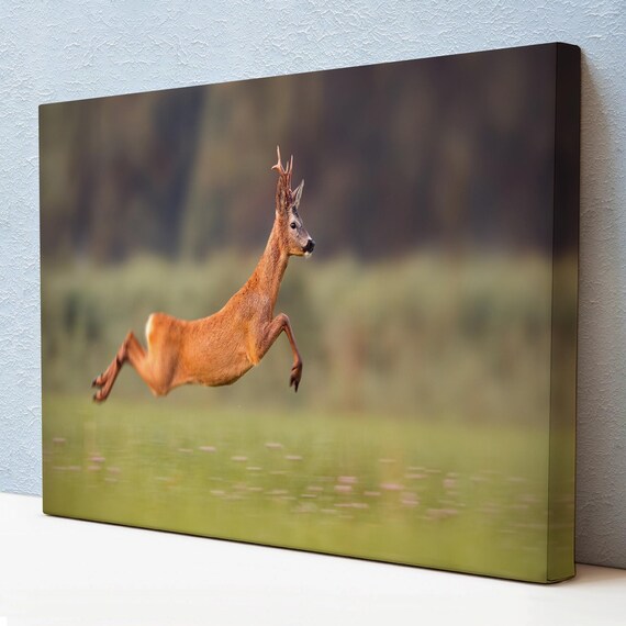 Leaping Roe Deer Buck Meadow Jump Wildlife Photography Action Poster
