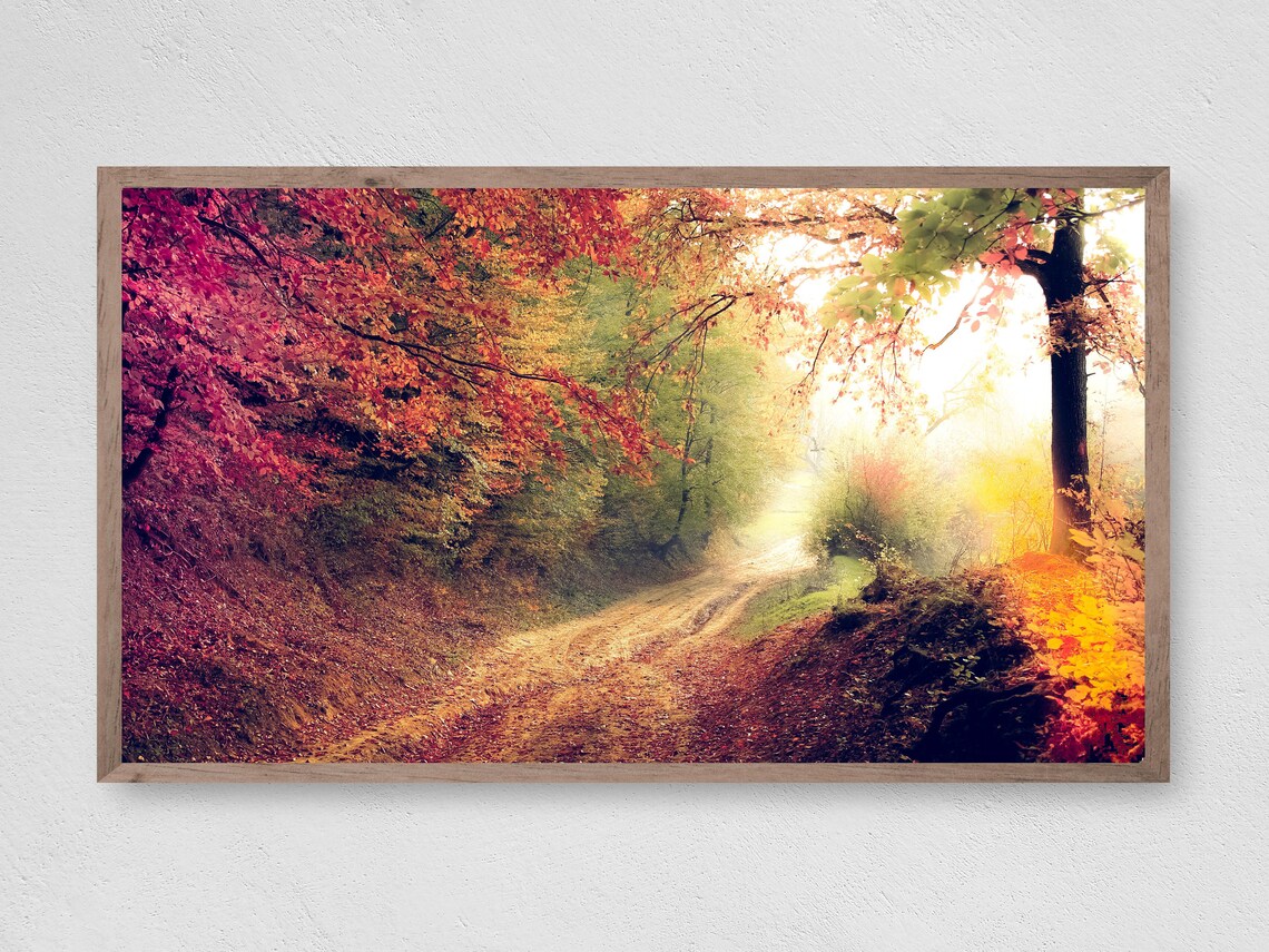 Quiet Fall Path Art Print