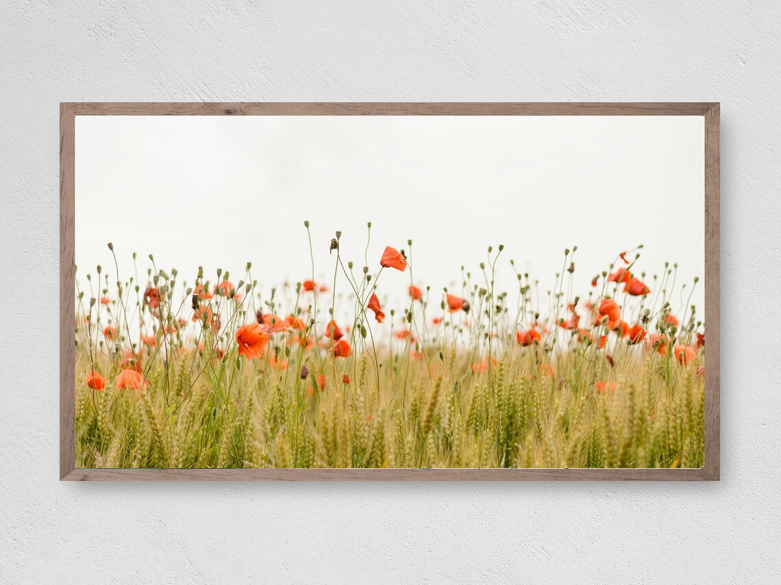 Poppy Field Art Print, Farmhouse Floral Decor
