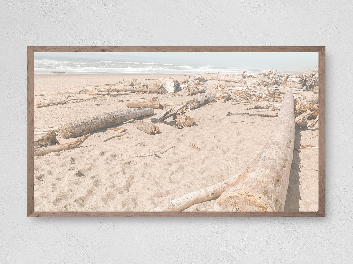 Driftwood On Sandy Beach Coastal Shore Nature Photography Travel Poster