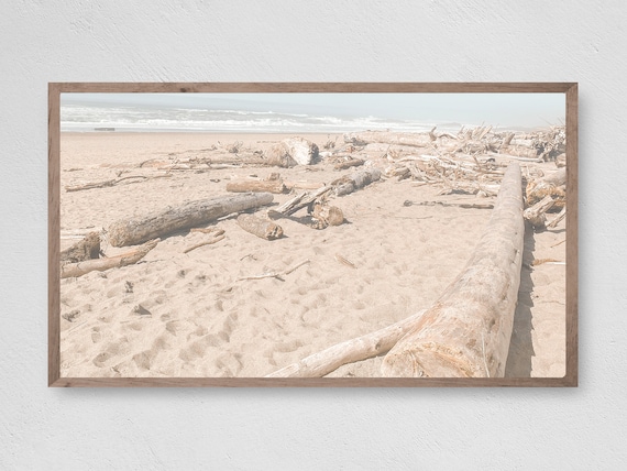 Driftwood On Sandy Beach Coastal Shore Nature Photography Travel Poster