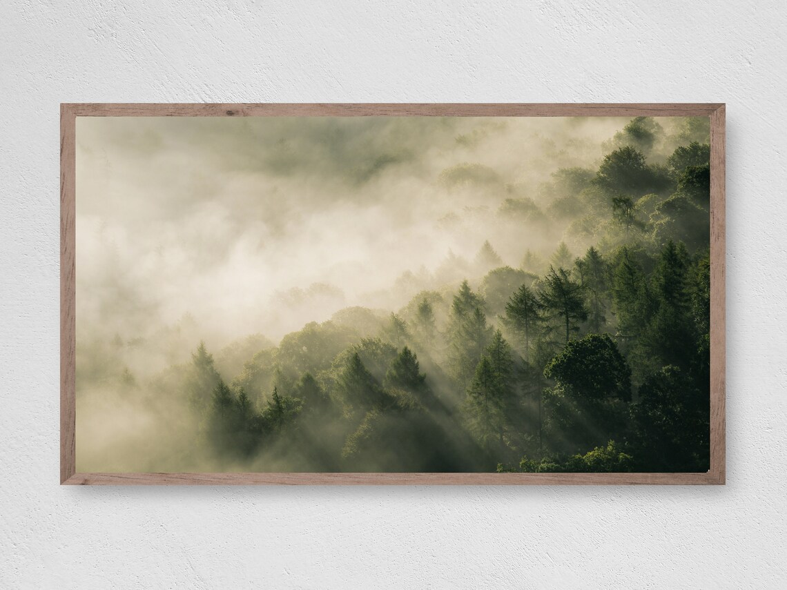 Misty Forest Art Print, Trees and Landscape