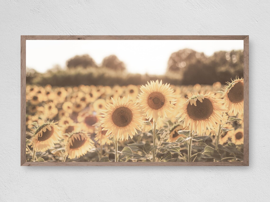 Happy Sunflowers Art Print, Botanical Floral