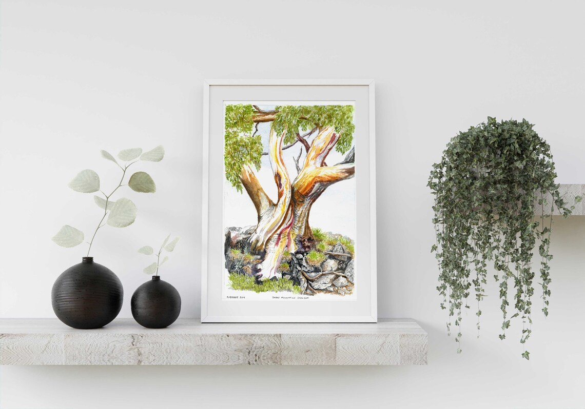 Snowy Mountains Snow Gum Tree Watercolor Landscape Art Poster
