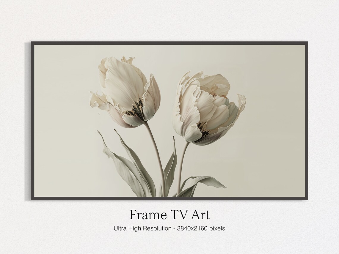 White Tulip Still Life Art Print, Floral Botanical